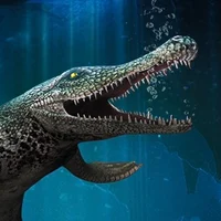 Suchodus
