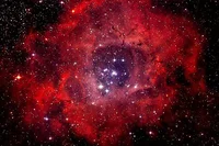 Rosette nebula 