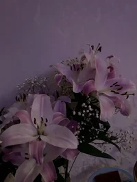 flwxluver