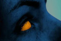 Catholic blue elf