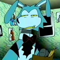 Bon the Rabbit