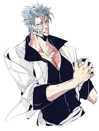 Grimmjow Jaegerjaque