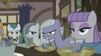 The Pie Family