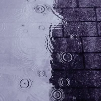000 - Narcisse