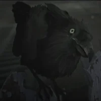 Crow 