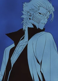 Grimmjow Jaegerjaque