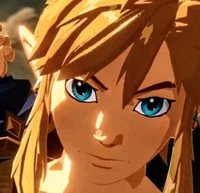 Link