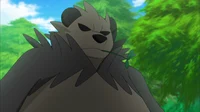 Pangoro