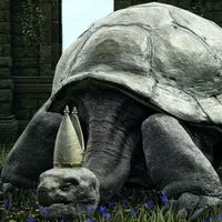 Pope Turtle