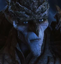 BOG KING