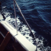 001 - LUKE CASTELLAN