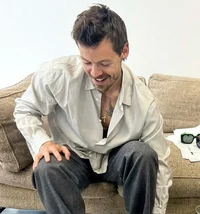 Harry Styles - au