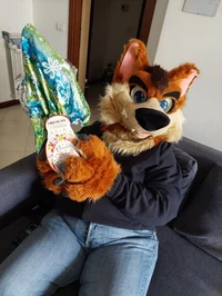 Joey The Chubby Fox 