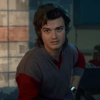 ST-Steve Harrington 