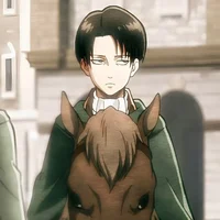 Levi Ackerman 