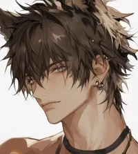 Kolen 