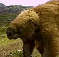 Mylodon