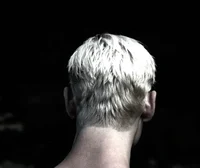 Draco M