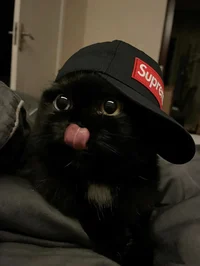 Joa