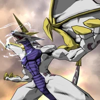 Haos Leonidas