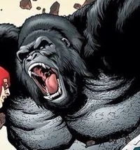 Gorilla Grodd