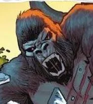 Gorilla Grodd 