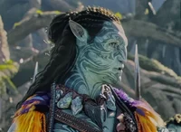 Tonowari