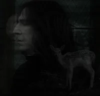 Severus T Snape