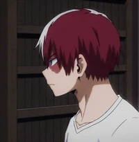 Shoto Todoroki