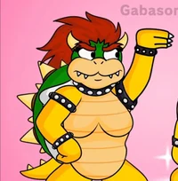 Bowsera