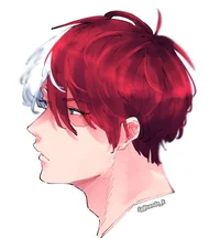 Shoto Todoroki 