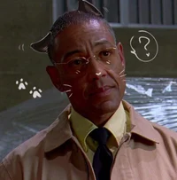 Gustavo Fring