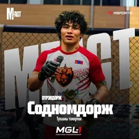 Sodnomdorj Purevdorj