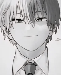 MHA - Shoto Todoroki