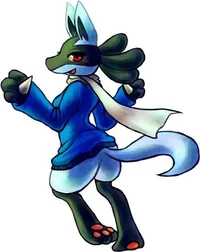 Mean female lucario
