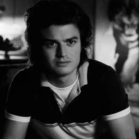 STEVE HARRINGTON