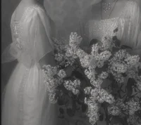 THE ROMANOVS