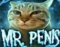 mr benis