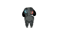 Switchy 2