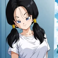 Videl DBZ