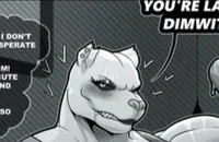 Pit the champion