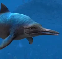 Platypterygius