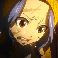 Future Levy