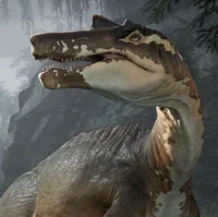 Irritator