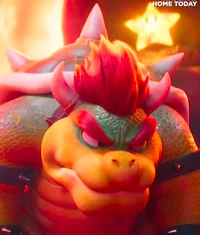 Bowser Koopa