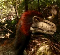 Saurornitholestes