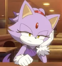 Blaze The Cat
