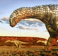 Diamantinasaurus