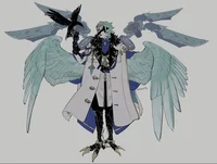 Dottore