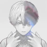 Shoto Todoroki 